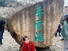 -香雪海