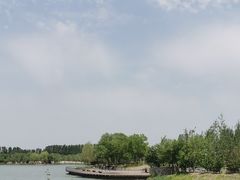 -东郊湿地公园