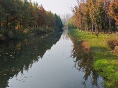 -溱湖国家湿地公园