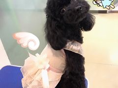 -沐沐家宠物(成寿寺店)