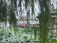 -济南大明湖景区