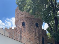 -J Create城市露营咖啡·简餐·宠物(上海动物园店)