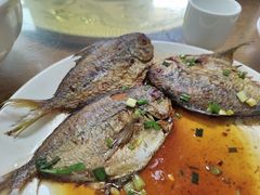 -洞背山庄(洞背院区式管理小区店)