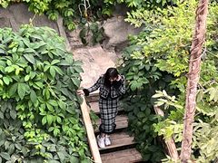 -郑州植物园