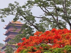 -梵天禅寺