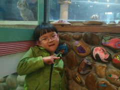 -猫咪博物馆(顶澳仔猫街店)