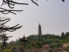 -顺峰山公园