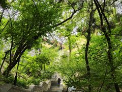 -千佛山风景名胜区