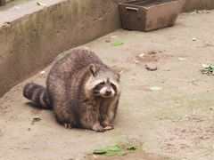 -青藏高原野生动物园
