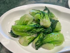 -棕榈泉国际高尔夫学院