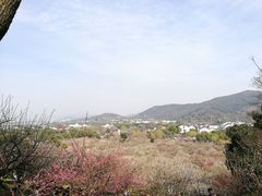 -香雪海