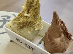 -野人先生现做冰淇淋(北京悠唐购物中心店)