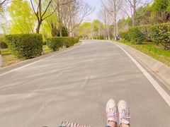 -石家庄市植物园