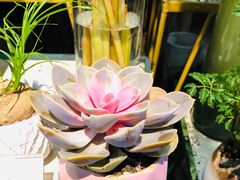 -blt精品超市(KKMALL京基店)
