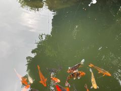 -成都杜甫草堂博物馆