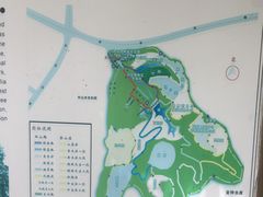 -中山市树木园