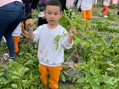-吉的堡幼儿园(复地花屿城分园)