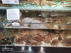 -超级物种·波龙工坊(国贸店)
