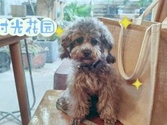 -时光花园(白鹭洲店)