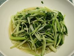 -茗醉园茶楼