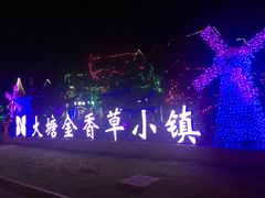-大塘金香草谷
