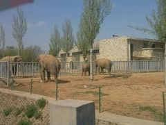 -石家庄市动物园