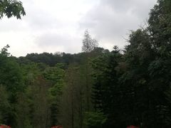 -云溪植物园