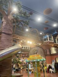-卡通尼·Safari非洲探索乐园·生日会(金桥国际商业广场店)