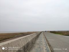 -南汇嘴观海公园