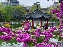-莲湖公园