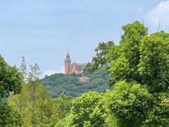 -上海佘山国家森林公园西佘山园