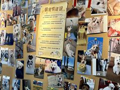 -翊宠yipet猫狗购宠庄园犬舍•猫舍