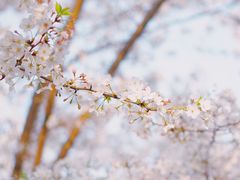 -新天地活力PARK