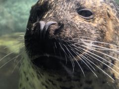 -福州罗源湾海洋世界旅游区