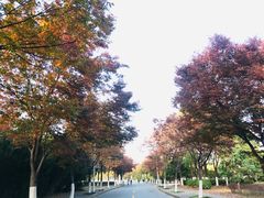 -江南大学(蠡湖校区)