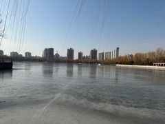 -莲花池公园
