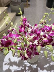 -MIDA蜜哒•科技逆龄美肤连锁