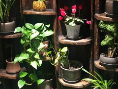 -慢丽江·云南野生菌土鸡锅(付家庄店)