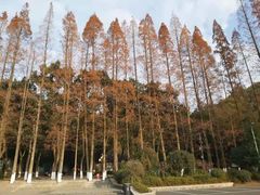 -宁波市保国寺古建筑博物馆