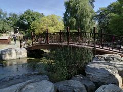 -莲花池公园