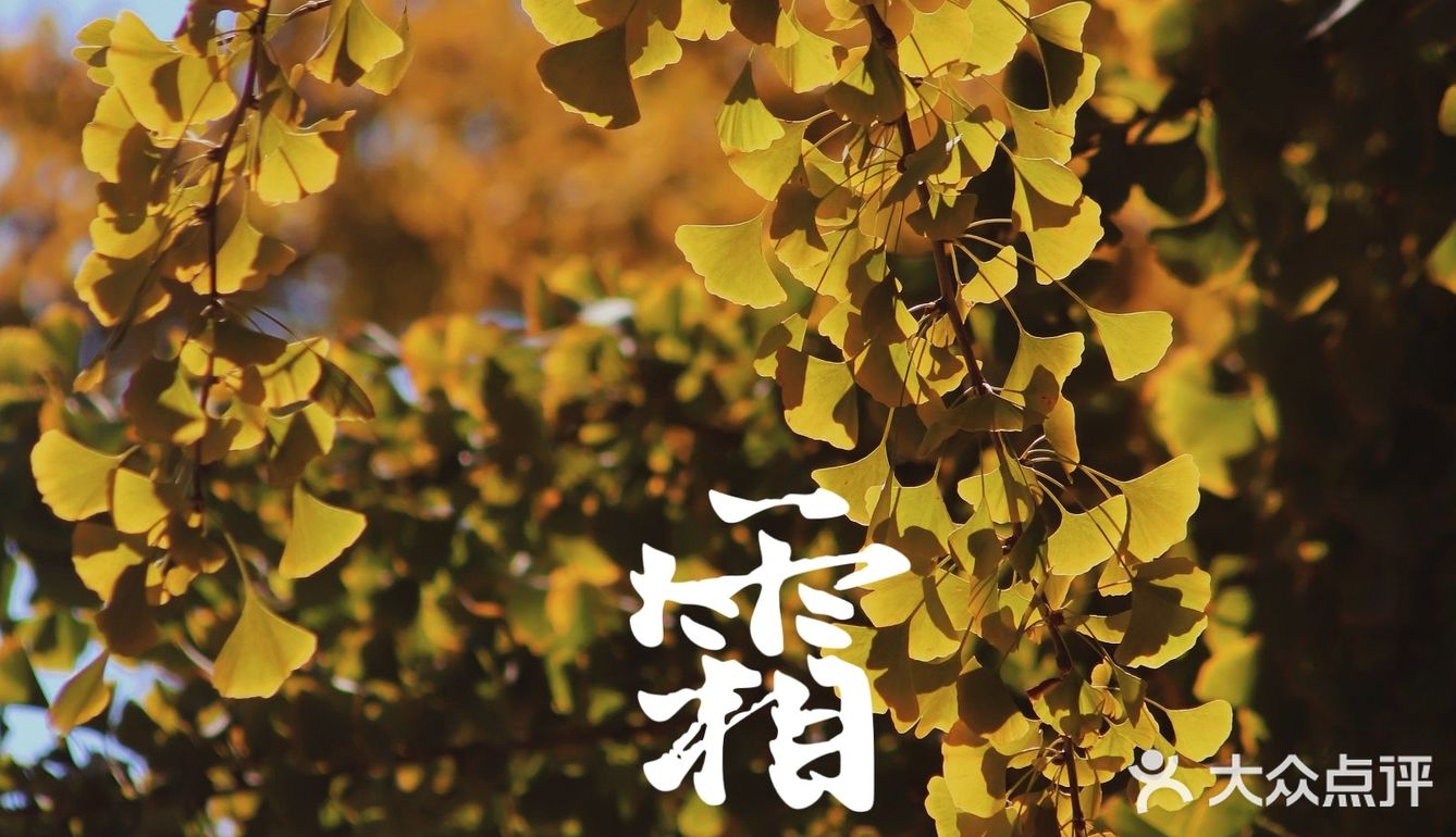 霜降天坛赏秋实录&超好拍的暖橙色系咖啡店推荐~