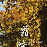霜降天坛赏秋实录&超好拍的暖橙色系咖啡店推荐~