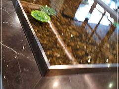 -上海怡沁园度假酒店
