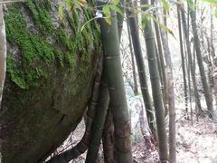 -周洛大峡谷