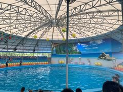 -尼莫海豚馆