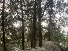 -云龙山