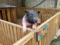 -HERRE·FARM 赫尔露营农场·团建聚会包场