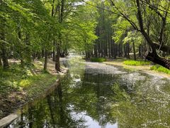 -上海共青森林公园