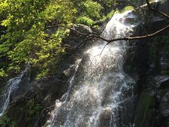-藏龙百瀑风景区