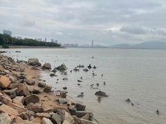 -深圳湾公园(南山区)